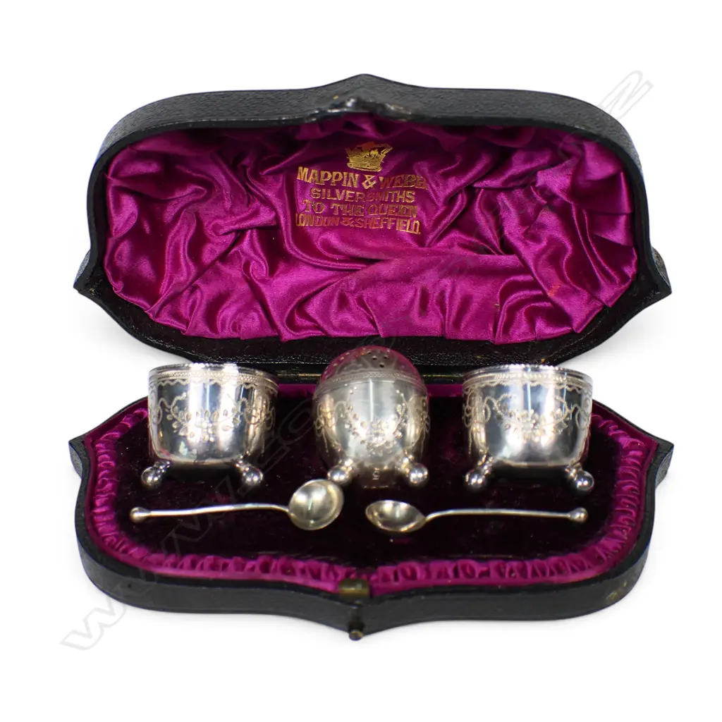 A Victorian silver cased condiment set, Image 1++