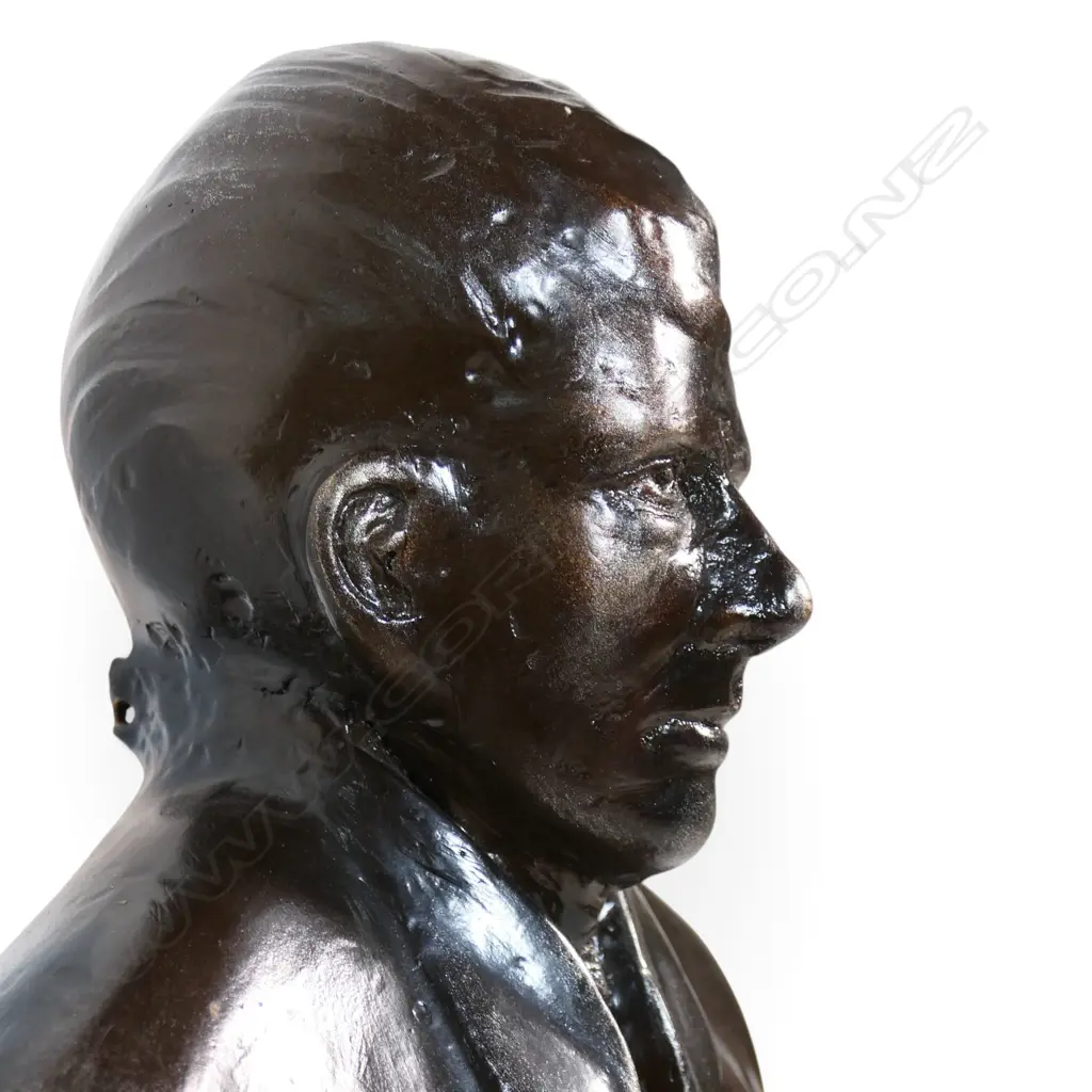 Bryn Jones 'Survey', Image 1++