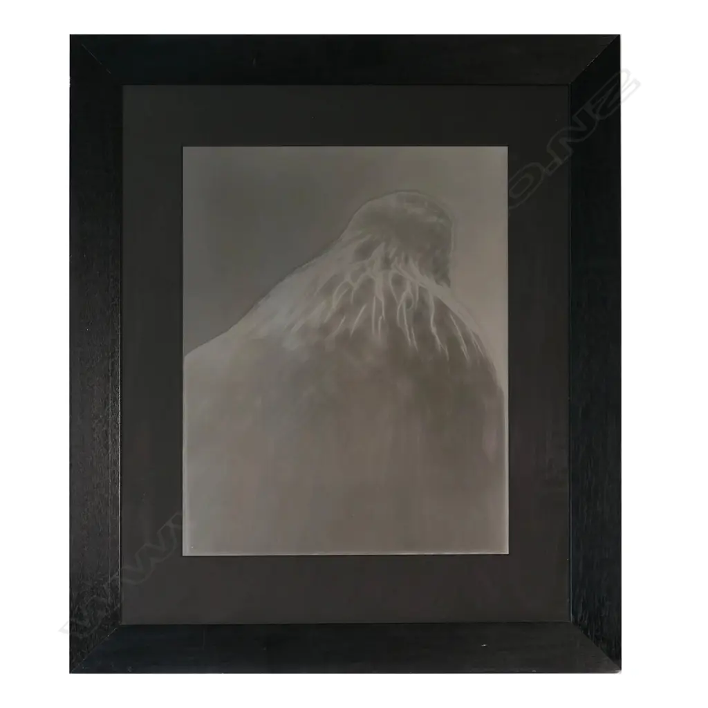Fiona Pardington (NZ 1961-) 'Tui Mountain', Image 1++