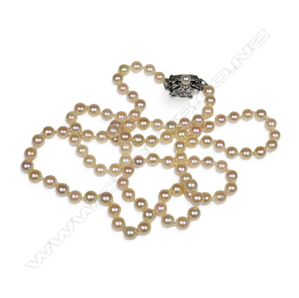 A vintage Mikimoto cultured pearl necklace, Image 1++