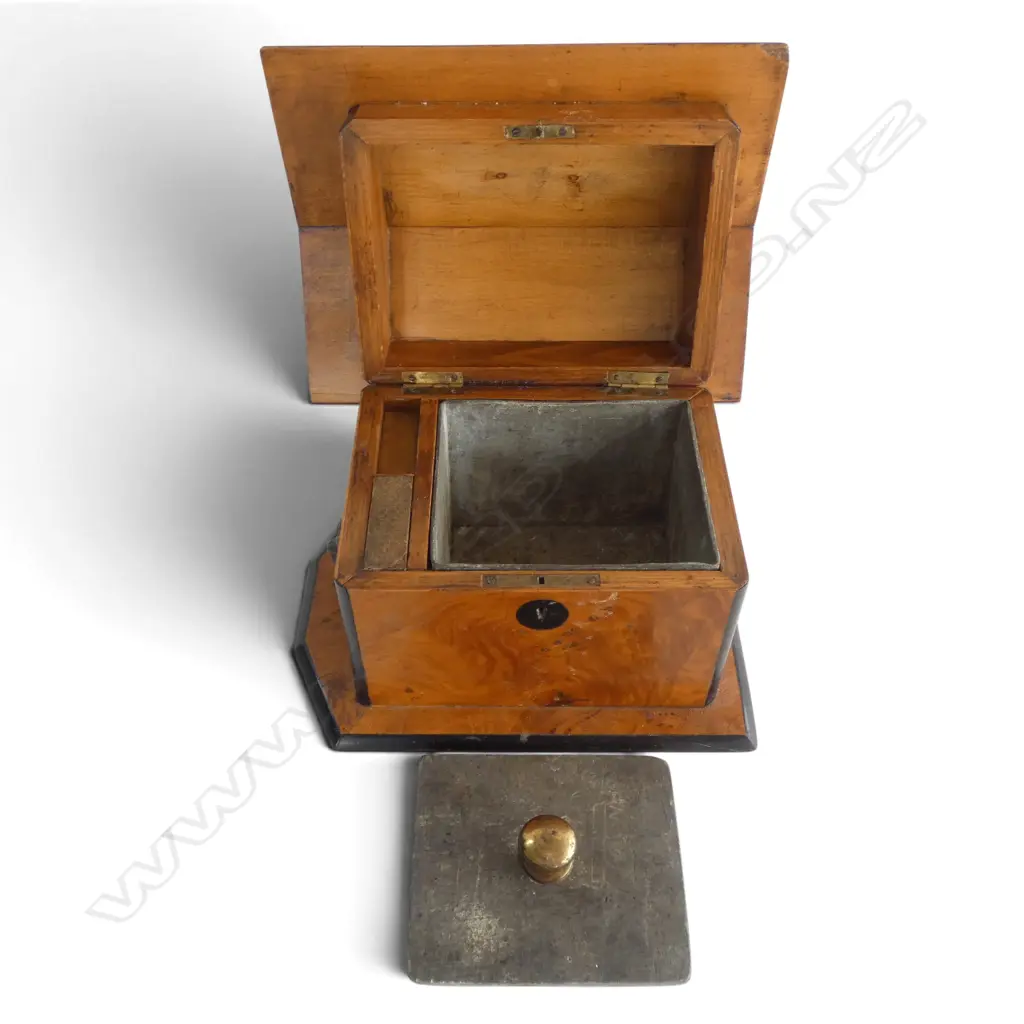 A Victorian dog kennel humidor, Image 1++