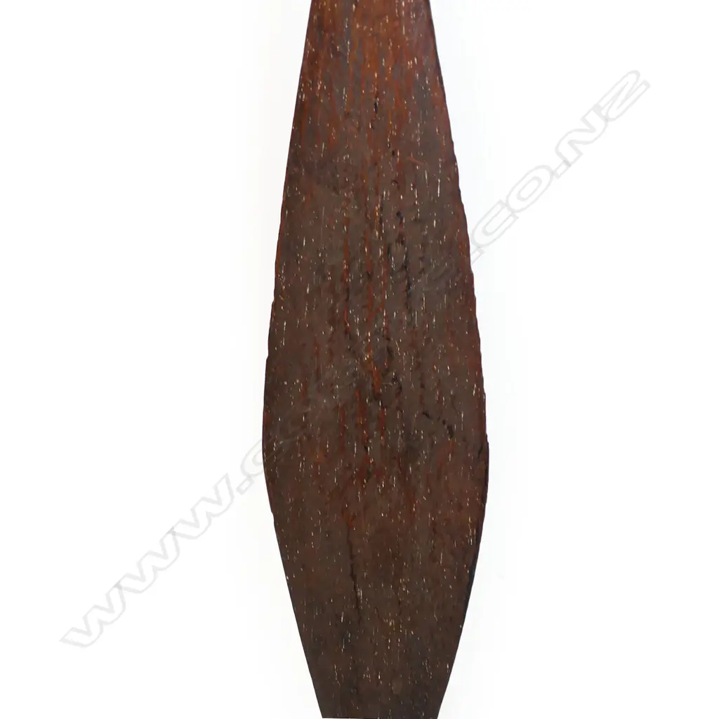 An old Māori hoe (paddle) 'Te Hoe o Tainui' with Tainui provenance, Image 1++
