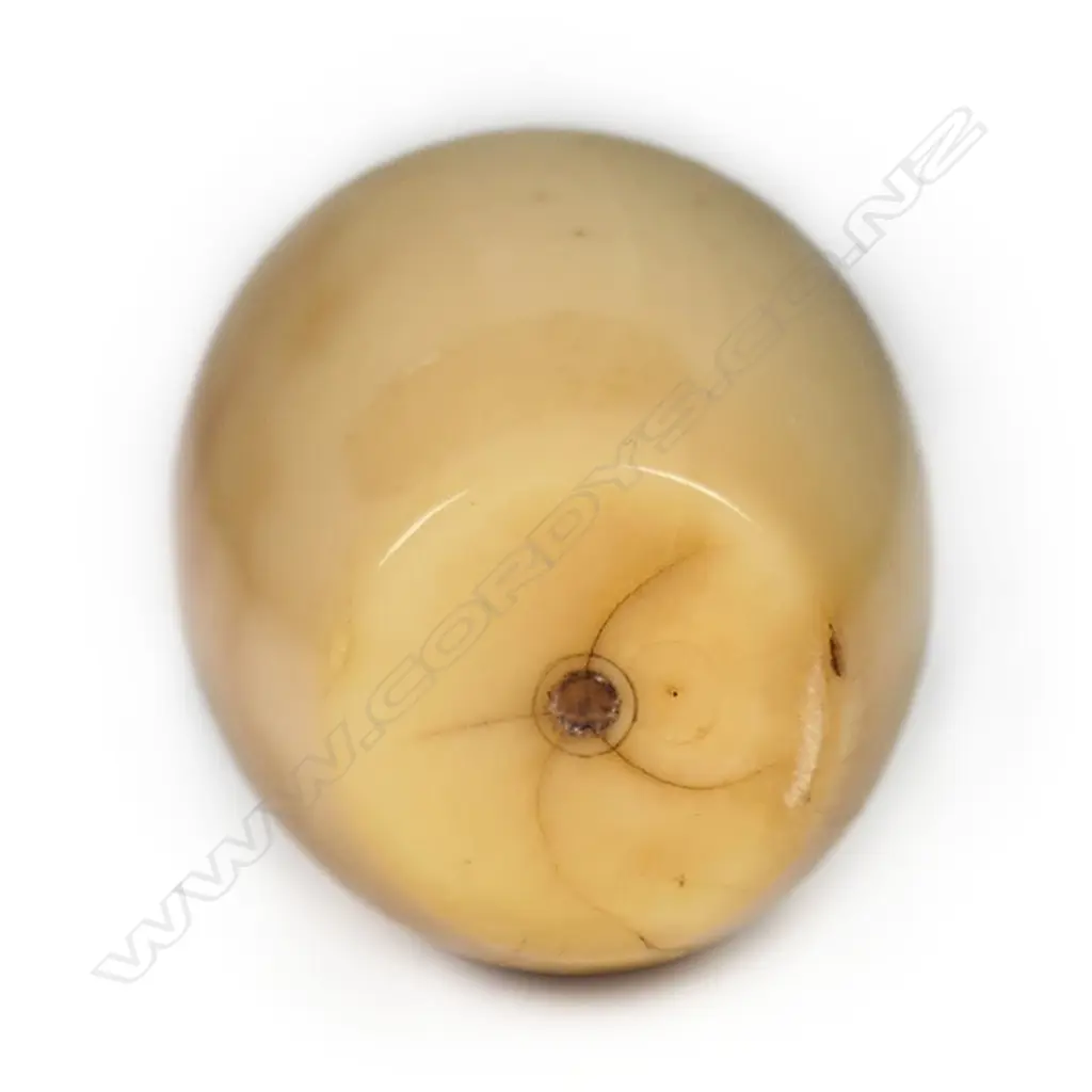 Qing dynasty carved ivory snuff bottle, Image 1++