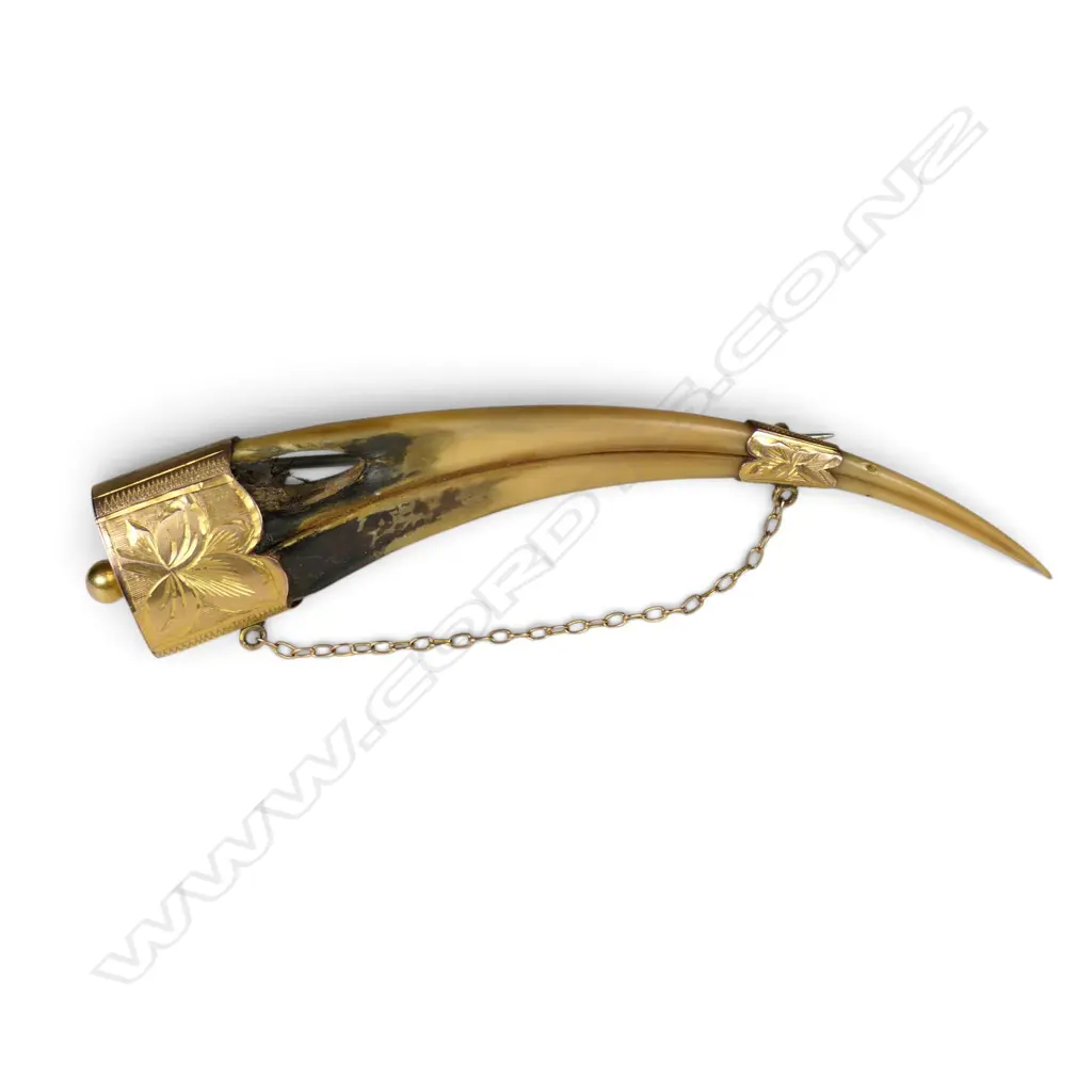 A rare female huia beak and gold brooch, Image 1++