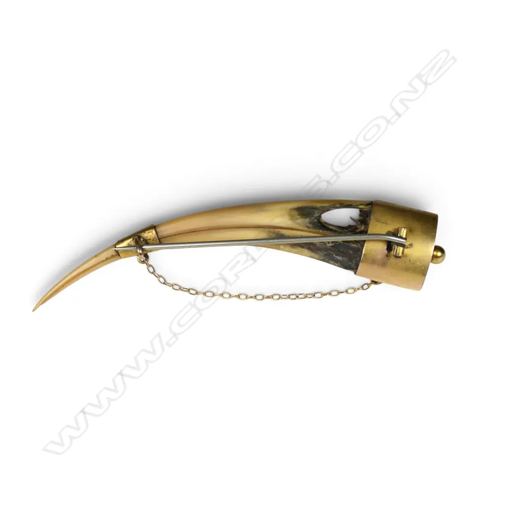 A rare female huia beak and gold brooch, Image 1++
