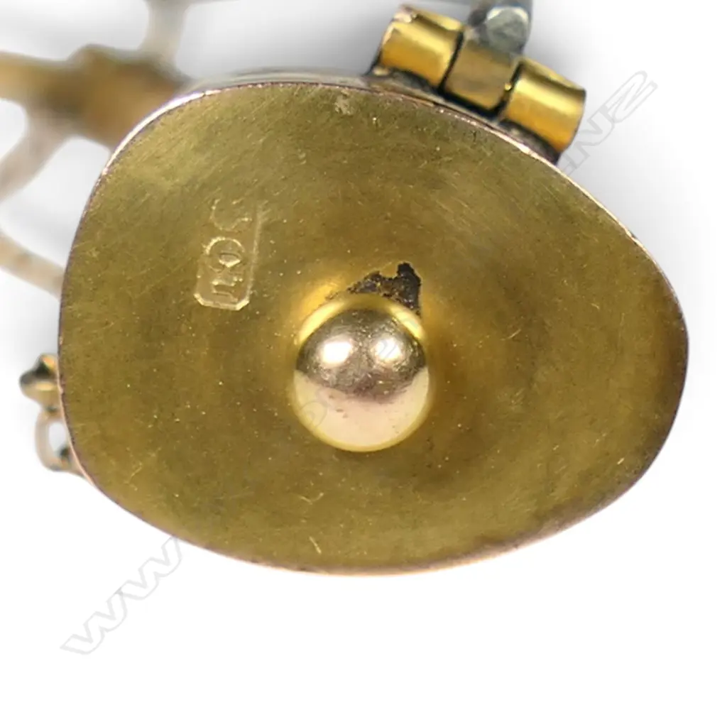A rare female huia beak and gold brooch, Image 1++