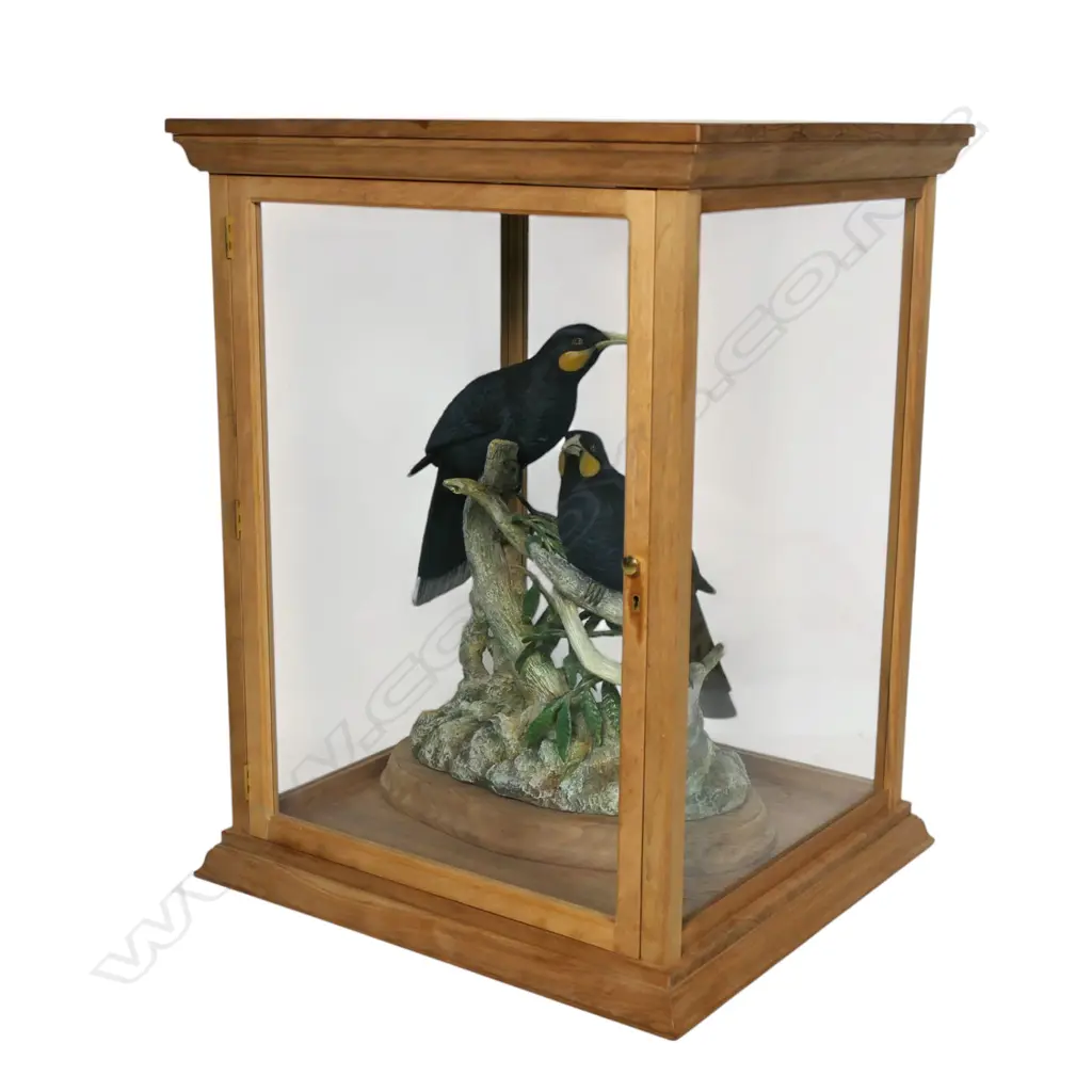 A pair of contemporary sculpted resin huia birds on naturalistic branch trunk base, Image 1++