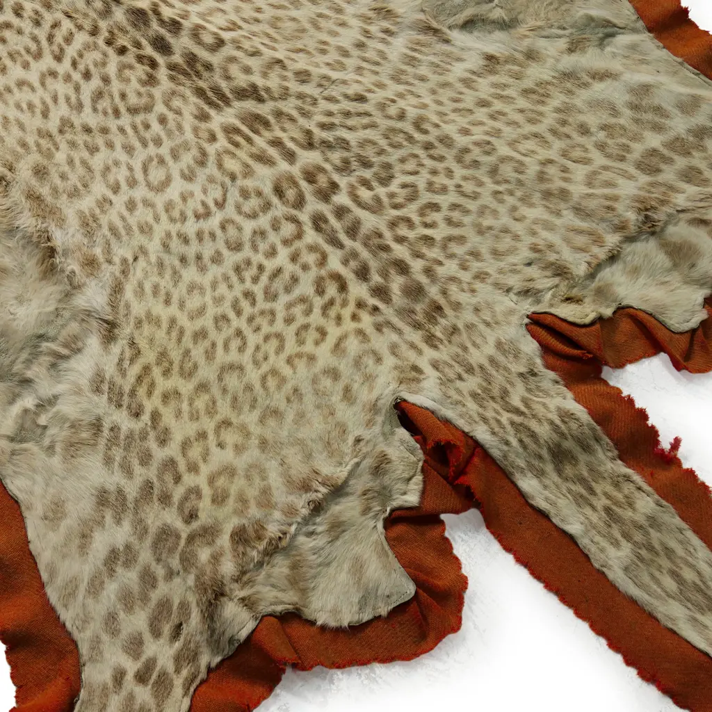 A vintage leopard skin rug, Image 1++