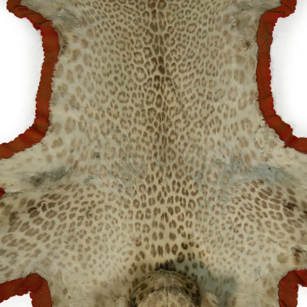 A vintage leopard skin rug, Image 1++