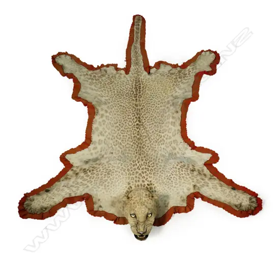 A vintage leopard skin rug,