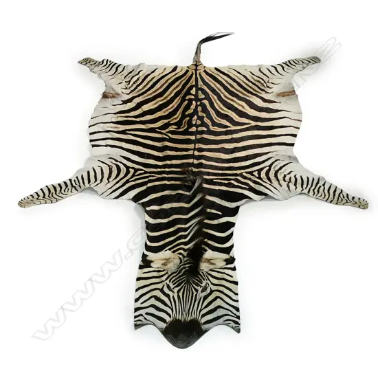 A large zebra hide,