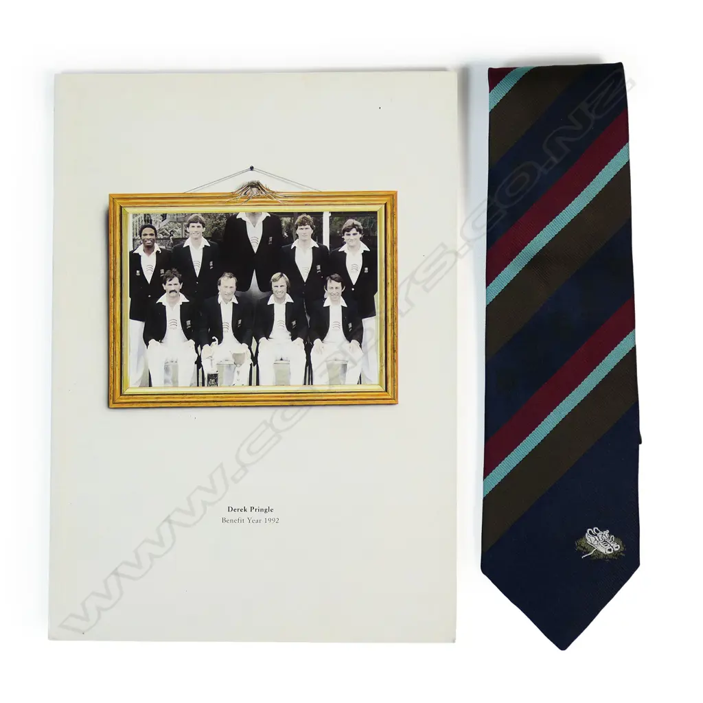 Souvenir booklet for Derek Pringle Testimonial Benefit 1992 and one matching tie, Image 1++