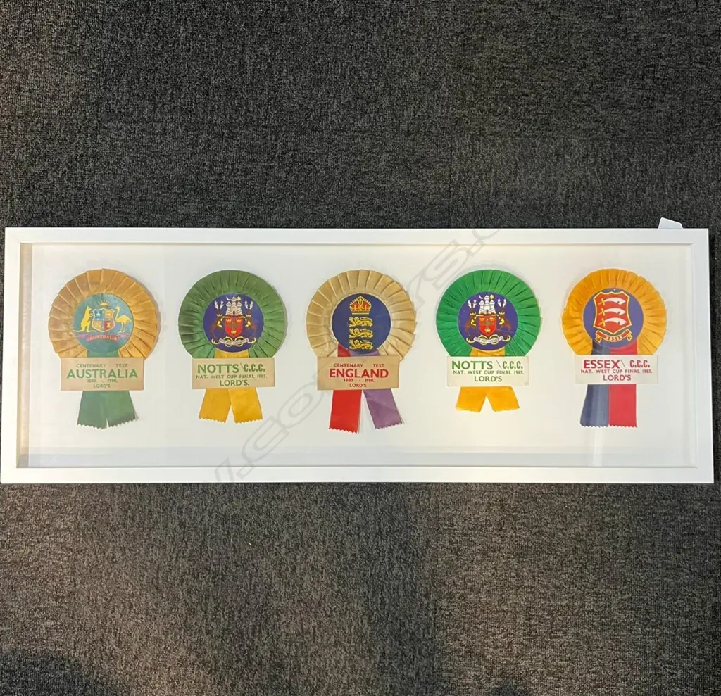 Rare collection of five team supporters Rosettes - framed and glazed for display - 960 x 350mm, Image 1++