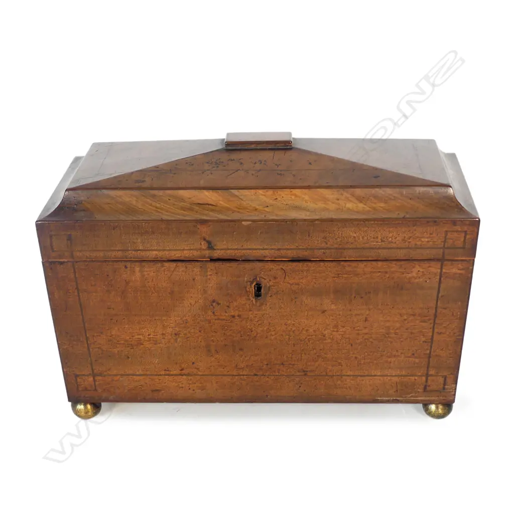 A Regency mahogany sarcophagus tea caddy Image 1++