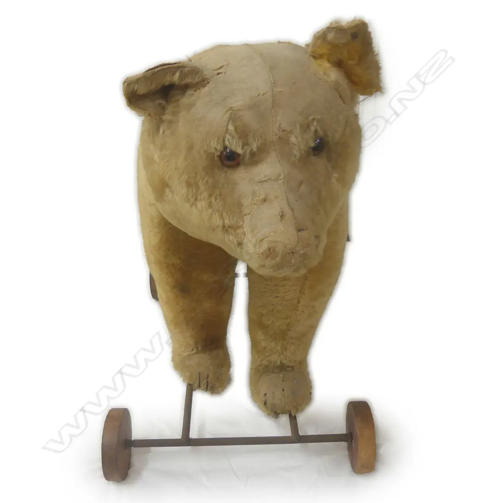 An Edwardian Steiff pull-along bear Image 1++