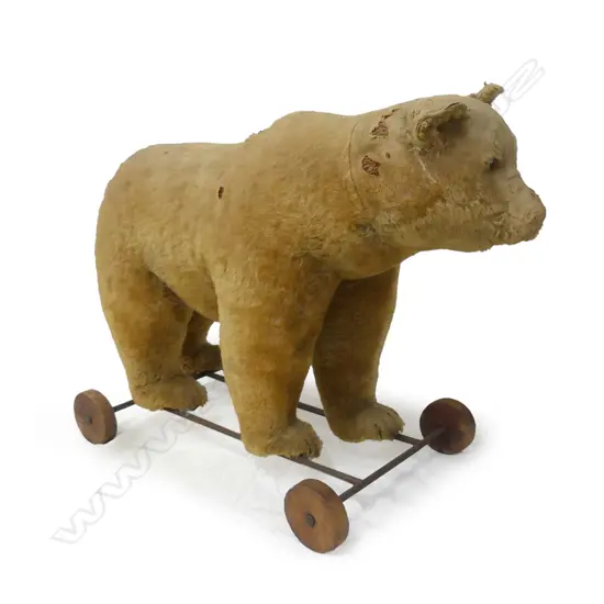 An Edwardian Steiff pull-along bear