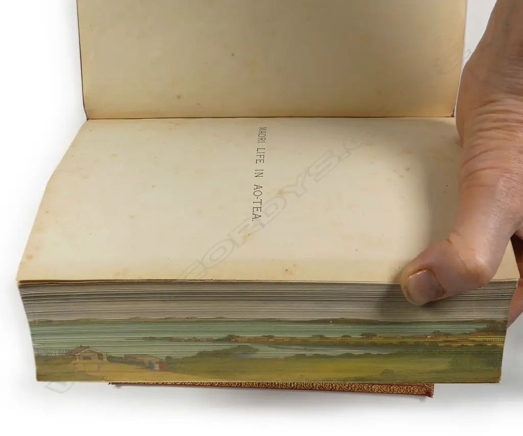 A superb rebinding of 'Maori Life In Ao-Tea' by Johannes C. Anderson Image 1++