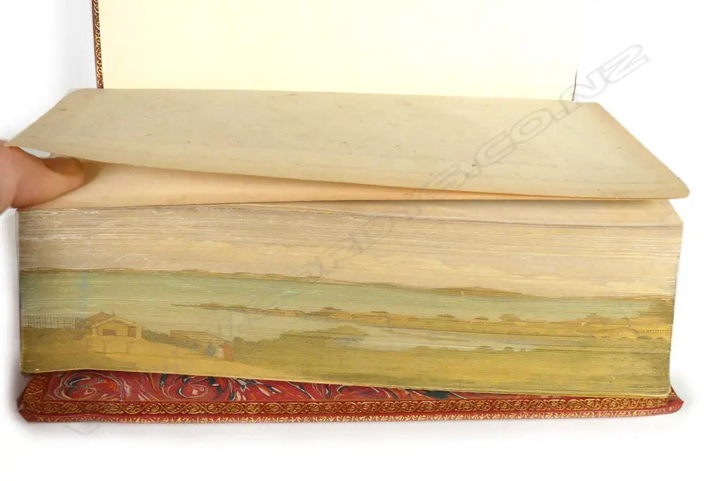 A superb rebinding of 'Maori Life In Ao-Tea' by Johannes C. Anderson Image 1++