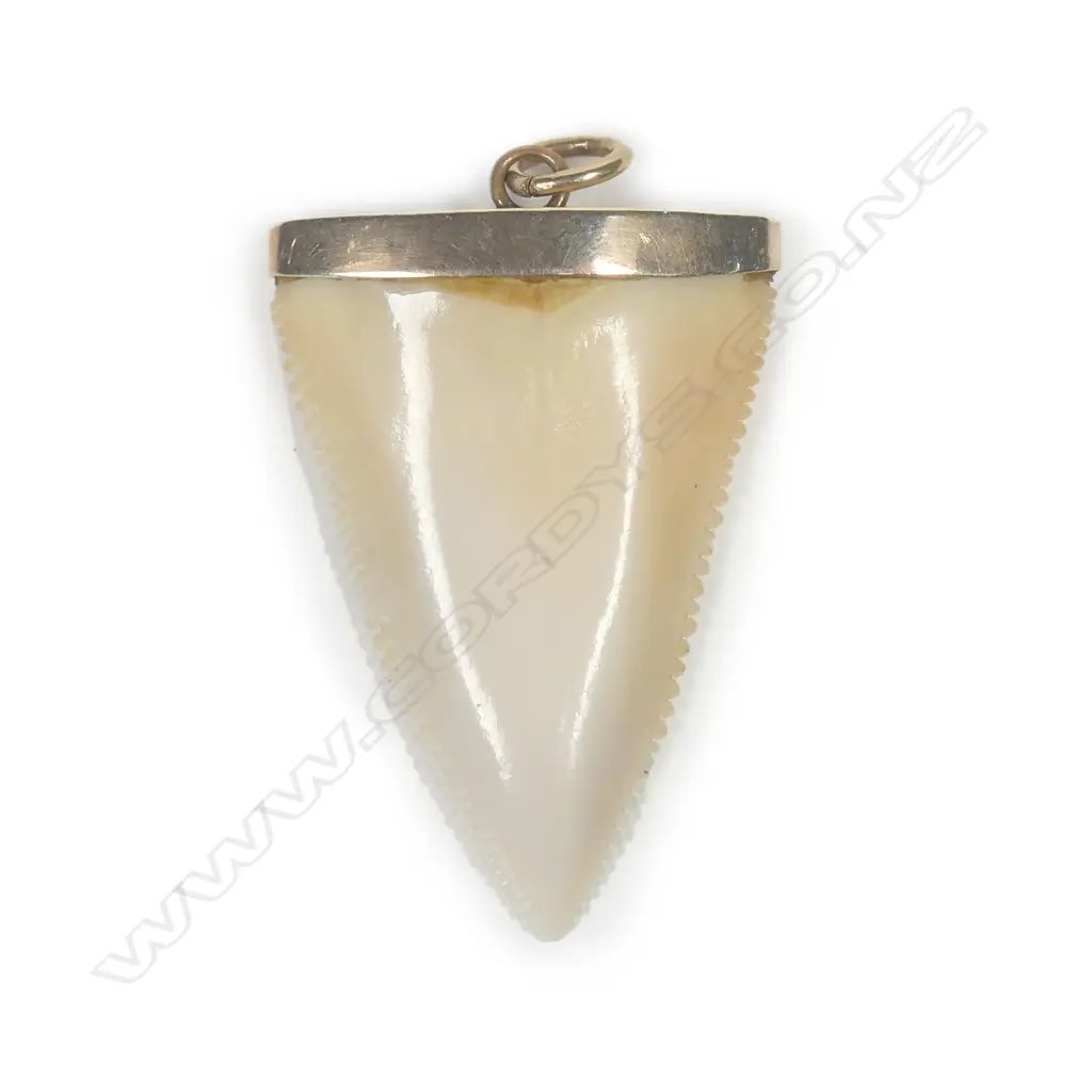 A vintage 9ct rose gold and shark tooth pendant Image 1++