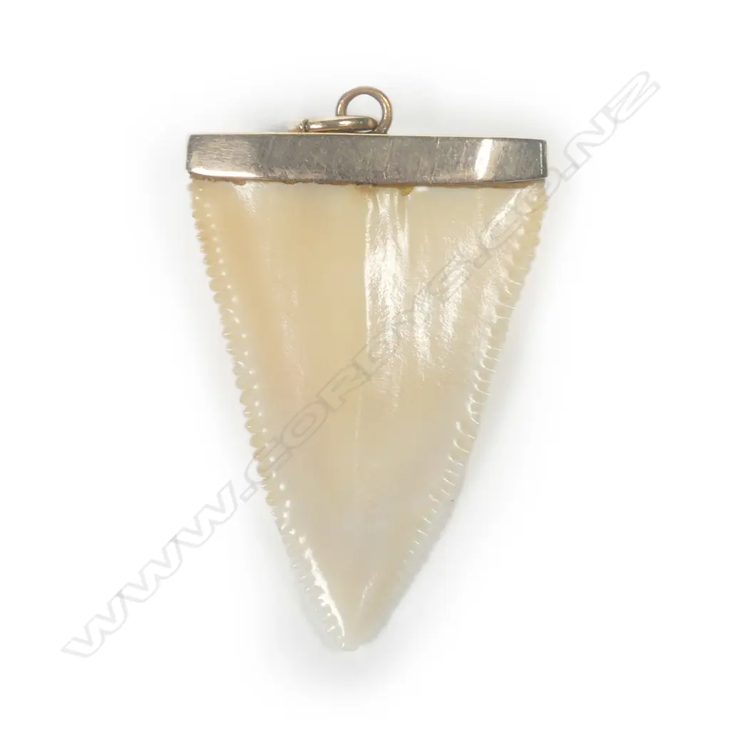 A vintage 9ct rose gold and shark tooth pendant Image 1++