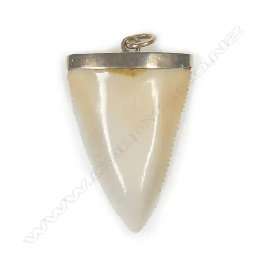 A vintage 9ct rose gold and shark tooth pendant