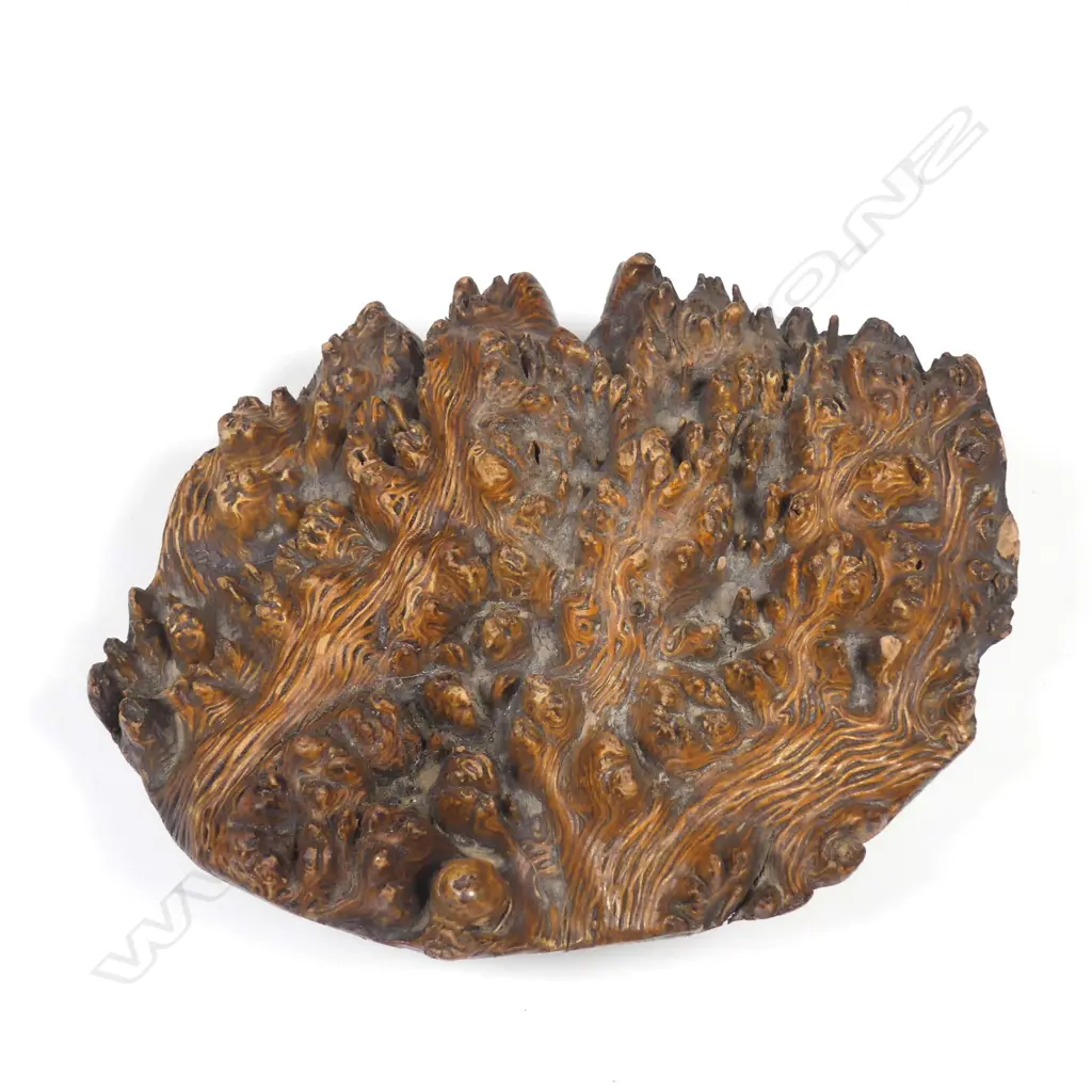 A good George III burl wood and hand painted table snuff box Image 1++