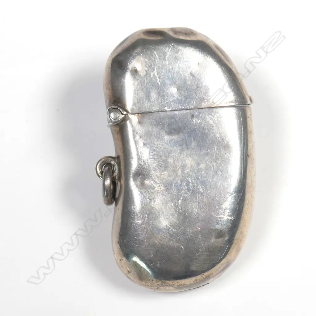 A rare Edwardian novelty silver 'bean' shaped vesta case Image 1++