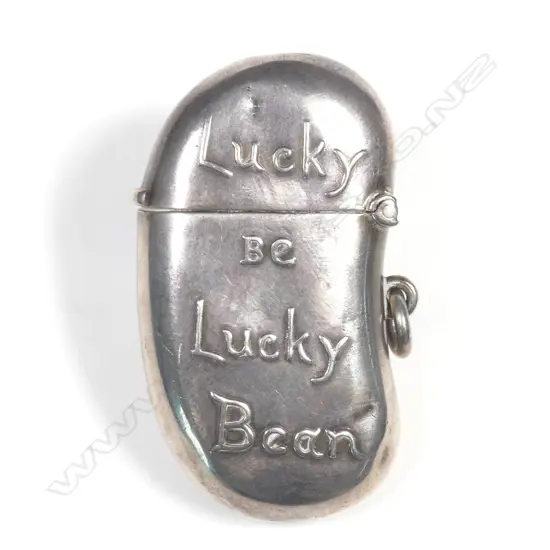 A rare Edwardian novelty silver 'bean' shaped vesta case