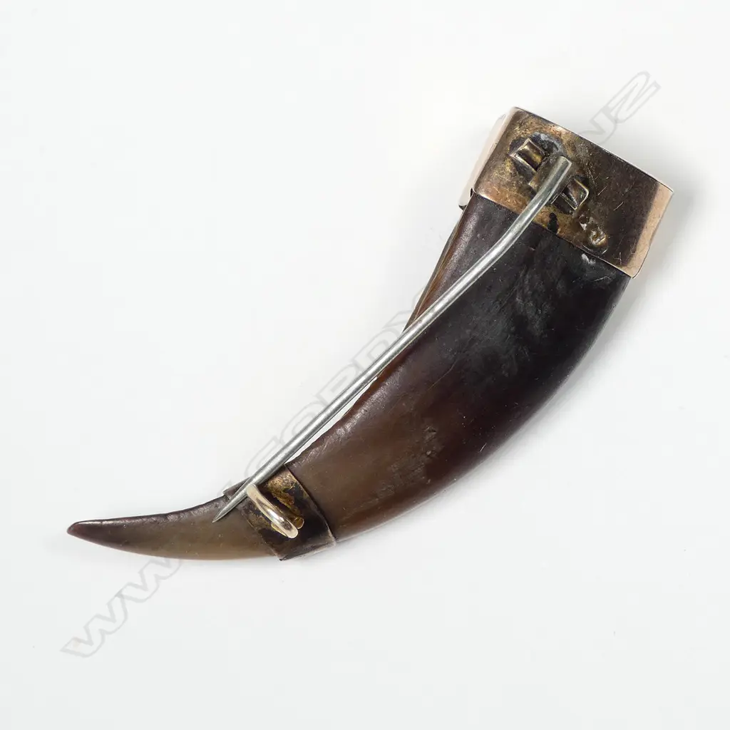 A N.Z. colonial gold mounted kea beak brooch Image 1++