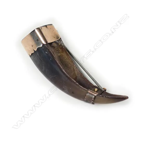 A N.Z. colonial gold mounted kea beak brooch