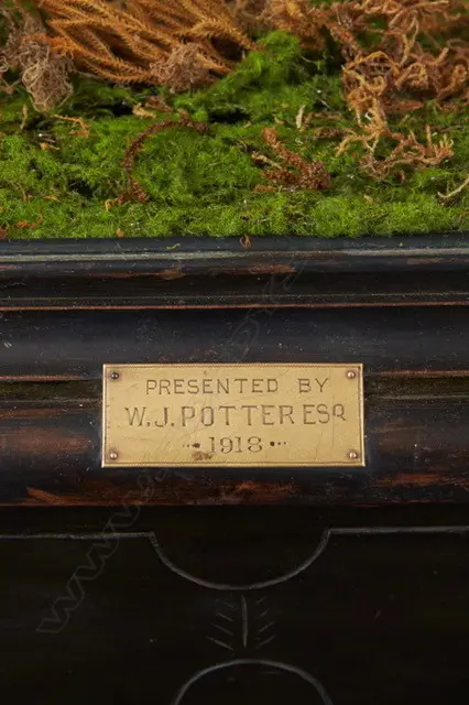 A magnificent and impressive large display case of taxidermy birds Image 1++