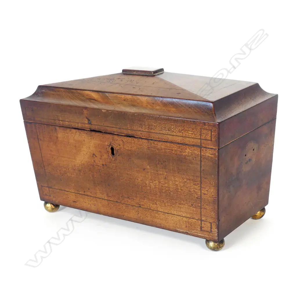 A Regency mahogany sarcophagus tea caddy Image 1++
