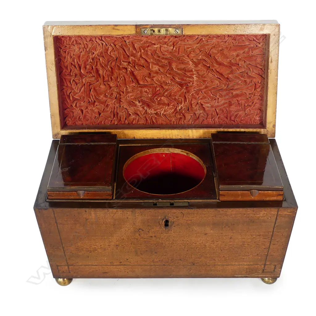 A Regency mahogany sarcophagus tea caddy Image 1++
