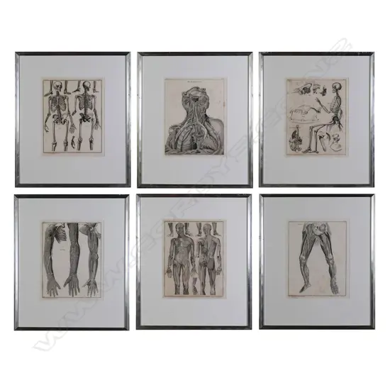 A set of six Lorenz Oken (1779-1851) anatomical lithographs