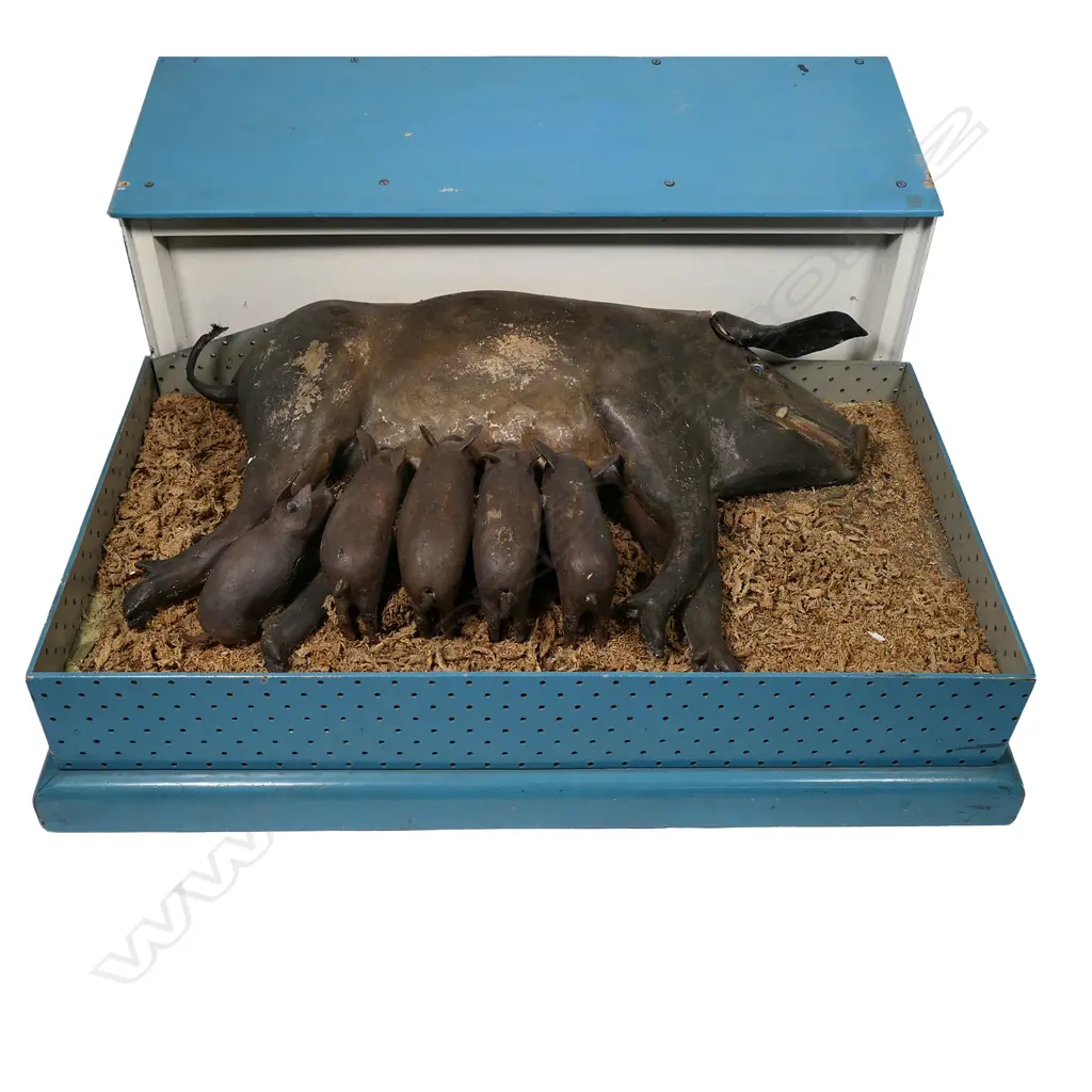 A vintage sow and piglets automaton Image 1++