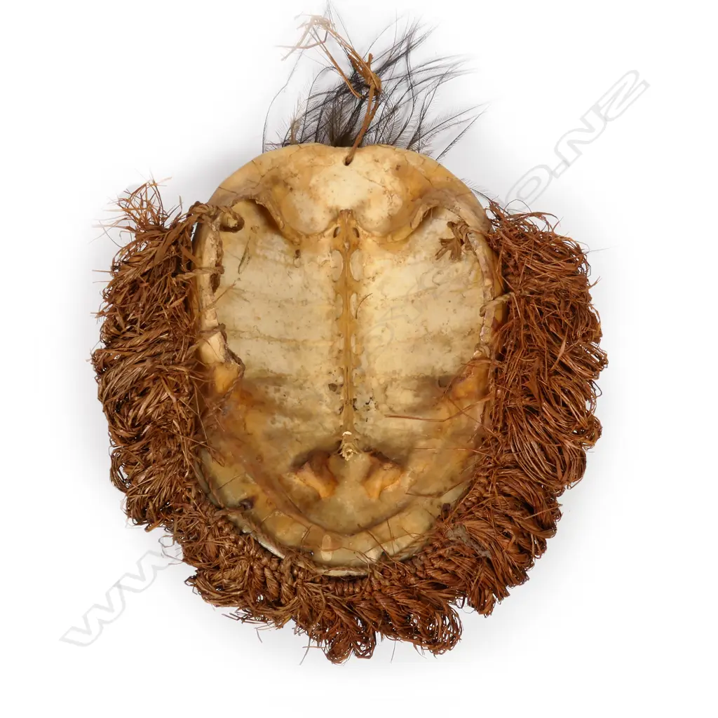 A PNG Sepik River tribal mask Image 1++