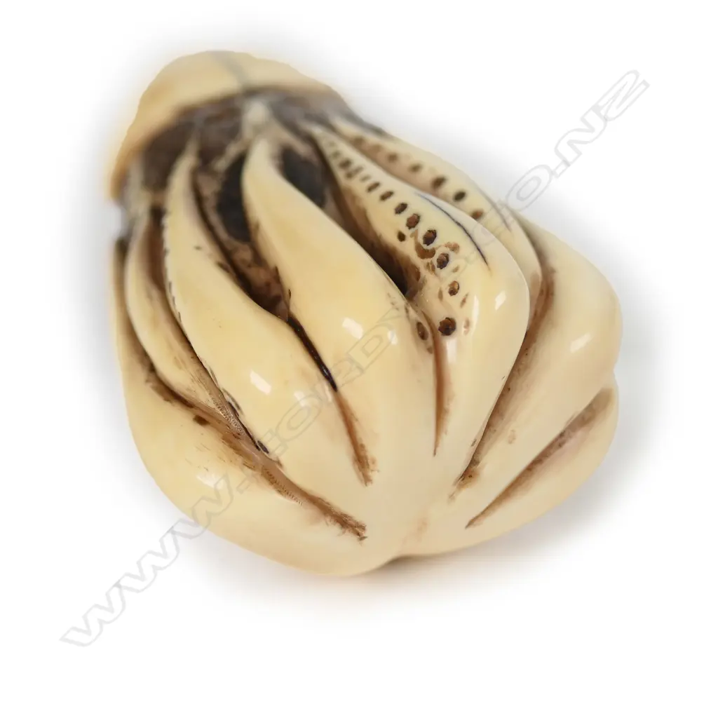 A Japanese carved ivory netsuke as a giant squid Image 1++