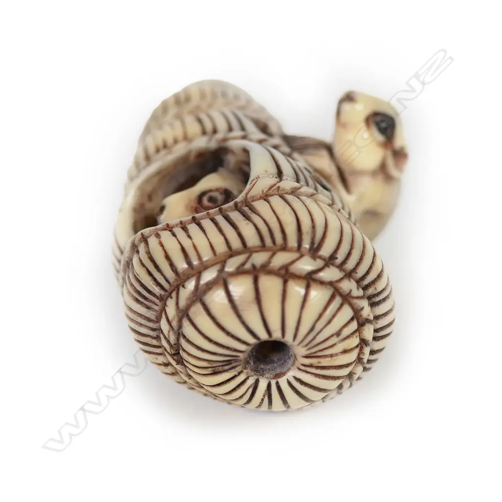 A Japanese carved ivory netsuke Image 1++