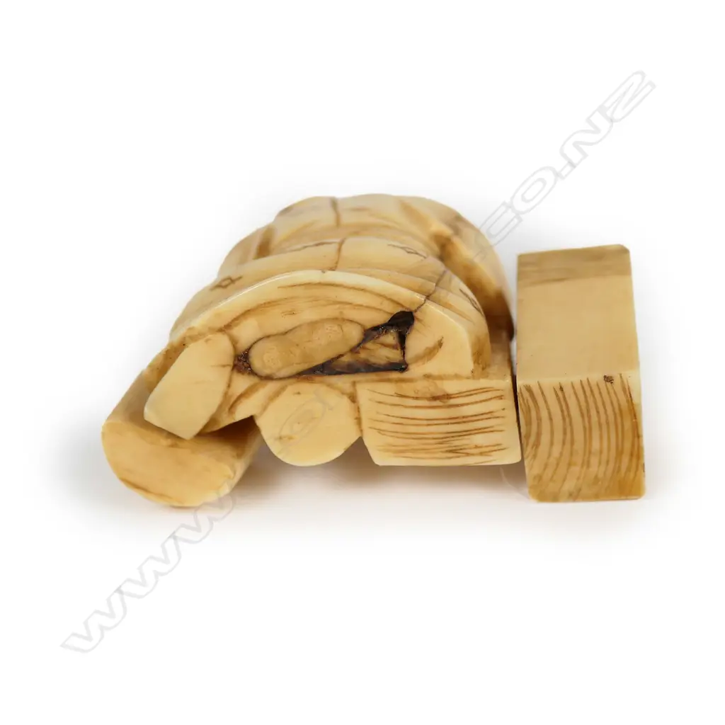 A Japanese carved ivory netsuke Image 1++