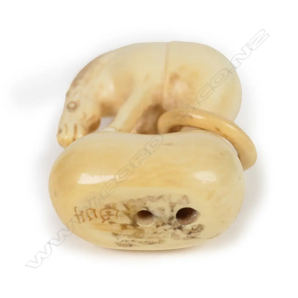 A Japanese carved ivory netsuke Image 1++