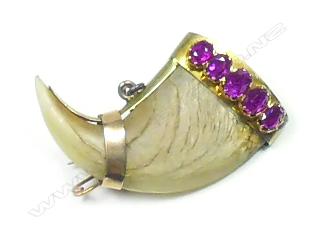 A late 19thC gold mounted tiger's claw brooch Image 1++