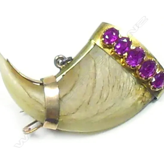 A late 19thC gold mounted tiger's claw brooch