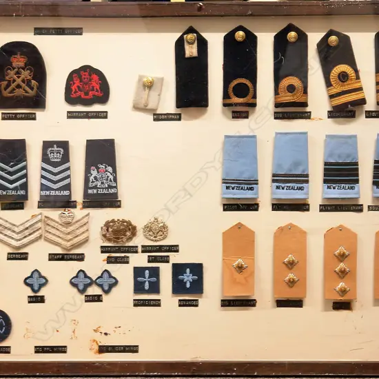 A vintage N.Z. Armed Forces epaulette collection display board