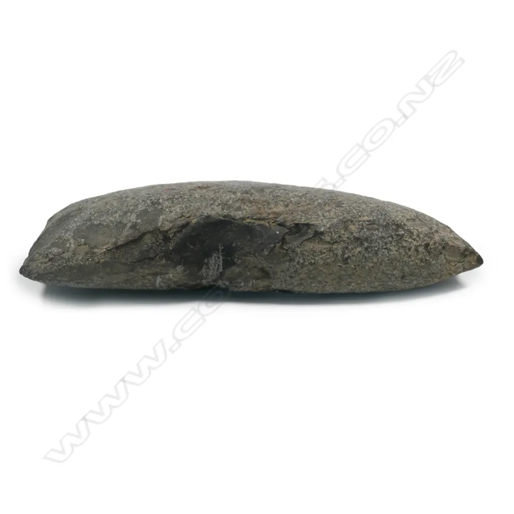 A Maori pre-European stone toki (adze) Image 1++