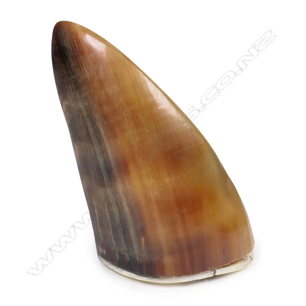 A 19thC horn snuff mull Image 1++