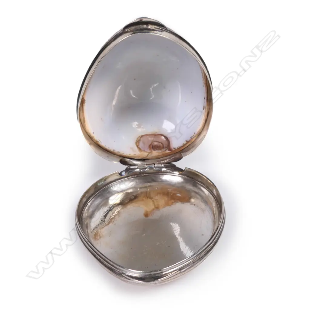 A late Victorian silver and cowrie shell snuff box Image 1++