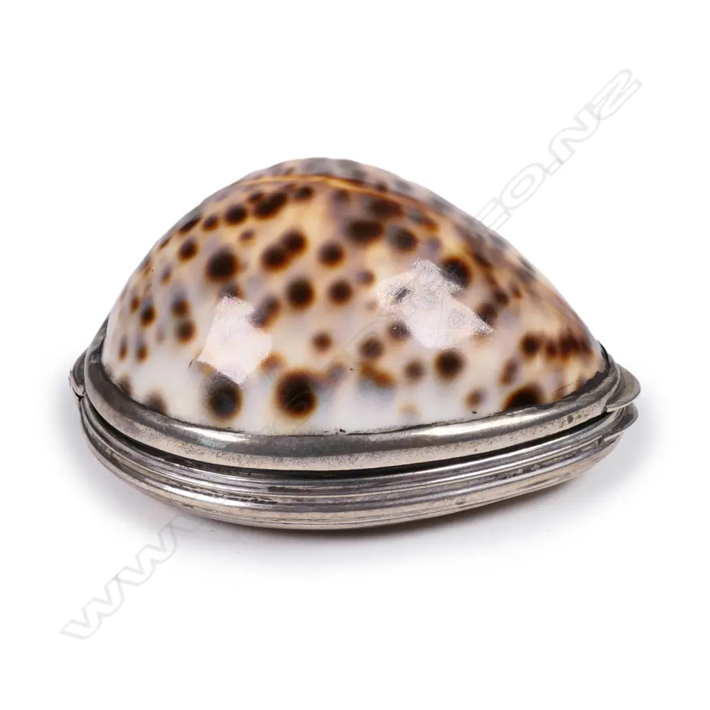 A late Victorian silver and cowrie shell snuff box Image 1++