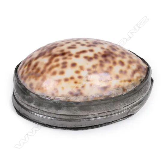 A mid-Victorian cowrie shell and pewter snuff box
