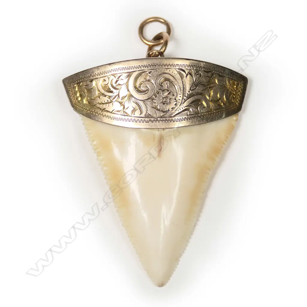 A NZ colonial 9ct rose gold mounted large shark's tooth pendant Image 1++