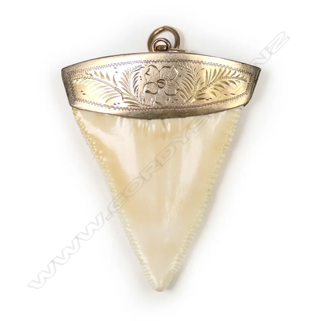 A NZ colonial 9ct rose gold mounted large shark's tooth pendant Image 1++